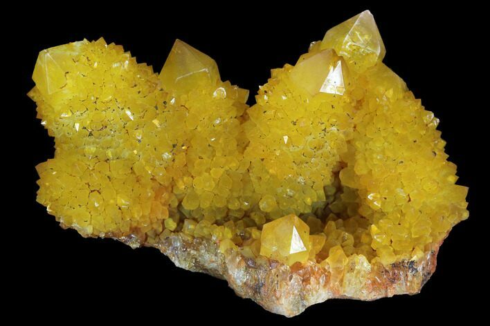 Sunshine Cactus Quartz Crystal - South Africa #96259